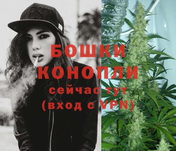кокс Дмитриев