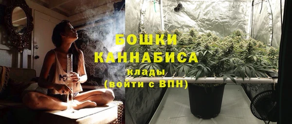 прущие крисы Гусиноозёрск