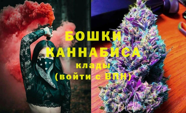 кокс Дмитриев