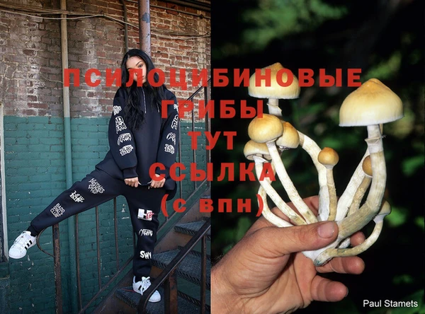 прущие крисы Гусиноозёрск