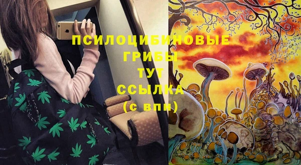 MDMA Premium VHQ Гусев