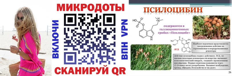 где можно купить   Тихвин  Псилоцибиновые грибы Cubensis 