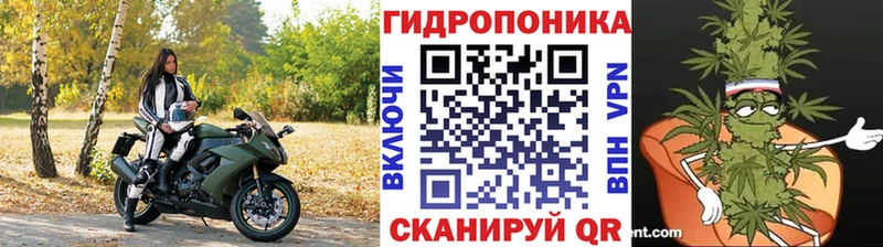blacksprut tor  Тихвин  Шишки марихуана сатива 